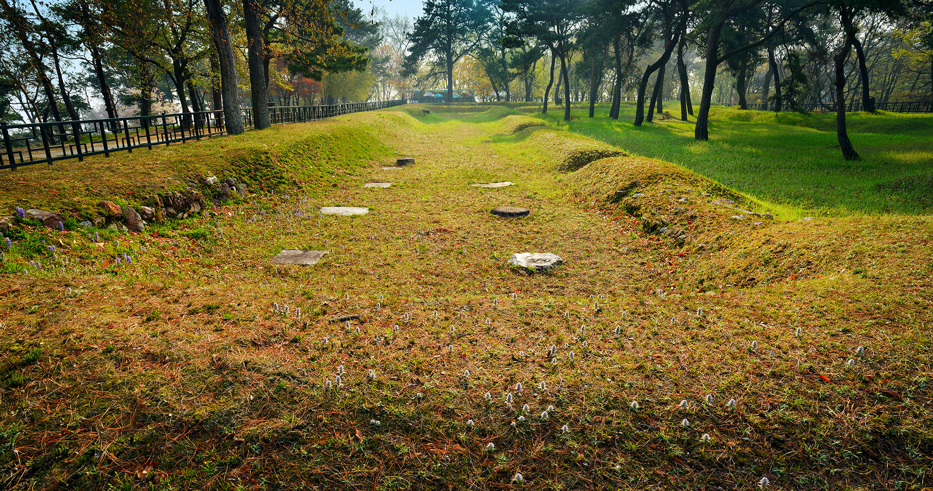 군창지(1) 이미지