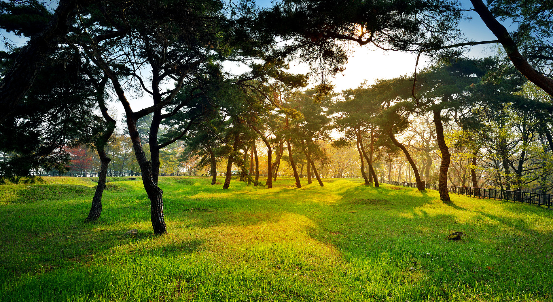 군창지(2) 이미지