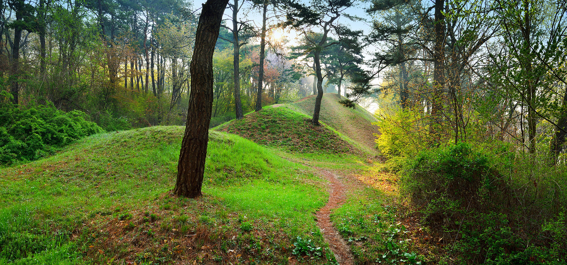 부소산성의 남쪽 성곽 길 이미지