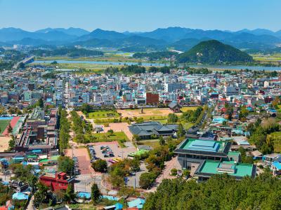 금성산에서 바라본 정림사지 이미지
