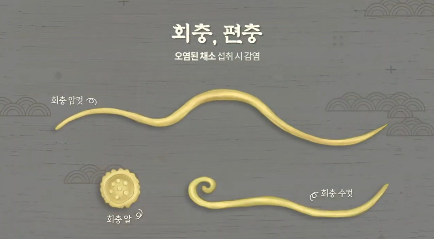 클립 영상(2021)  "왕궁리유적 화장실 유구에서 발견된 것" 이미지