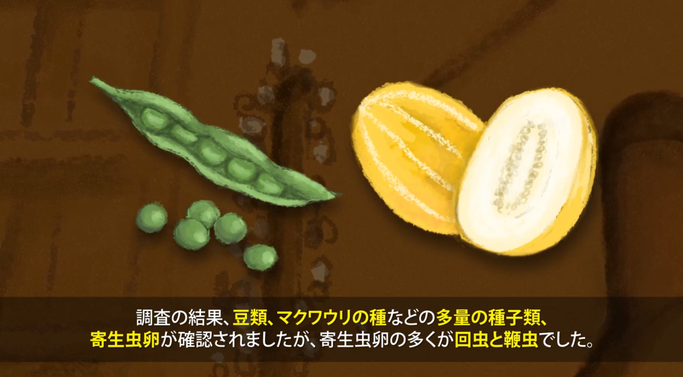 clip(2023)  "トイレ遺構から見つかった寄生虫卵と百済の人々の食生活 " 이미지