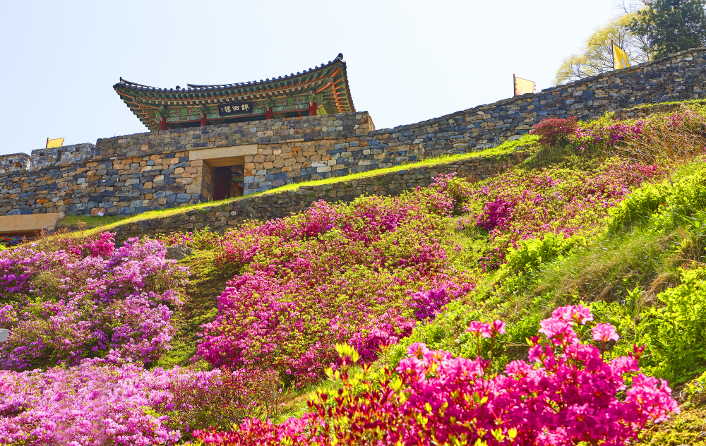 공산성 금서루(1) 이미지