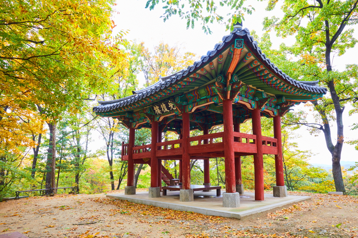 공산성 가을 광복루 이미지