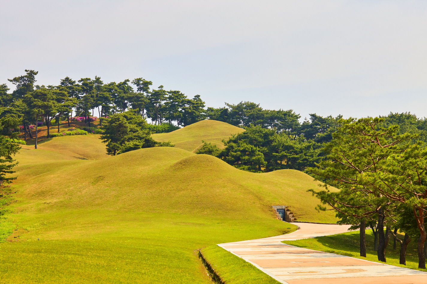 공주 송산리 고분군 여름 전경 이미지