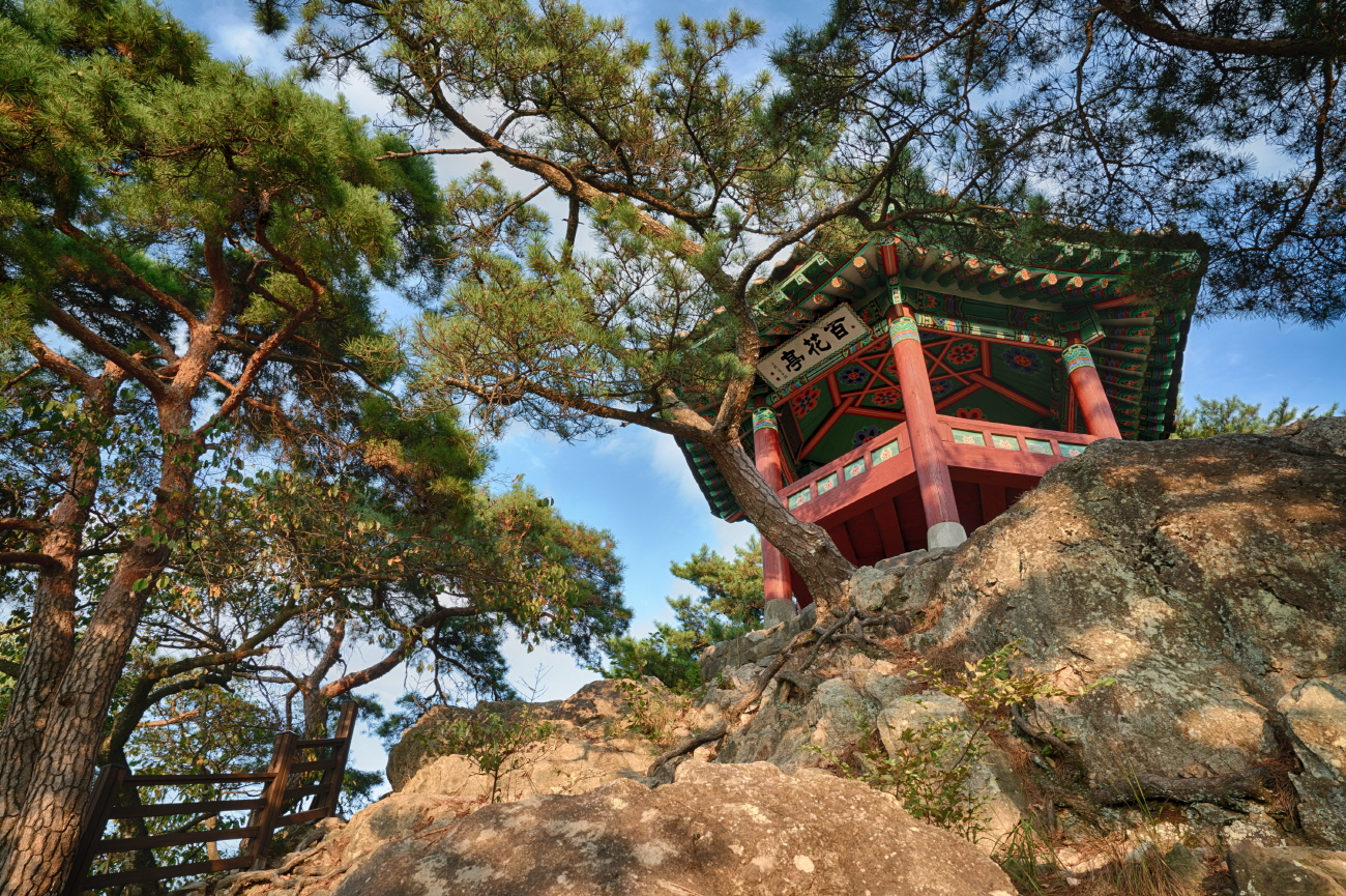 부소산성 여름 낙화암 백화정 이미지
