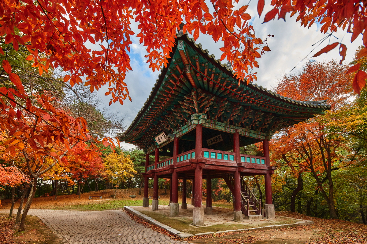 부소산성 가을 영일루 이미지