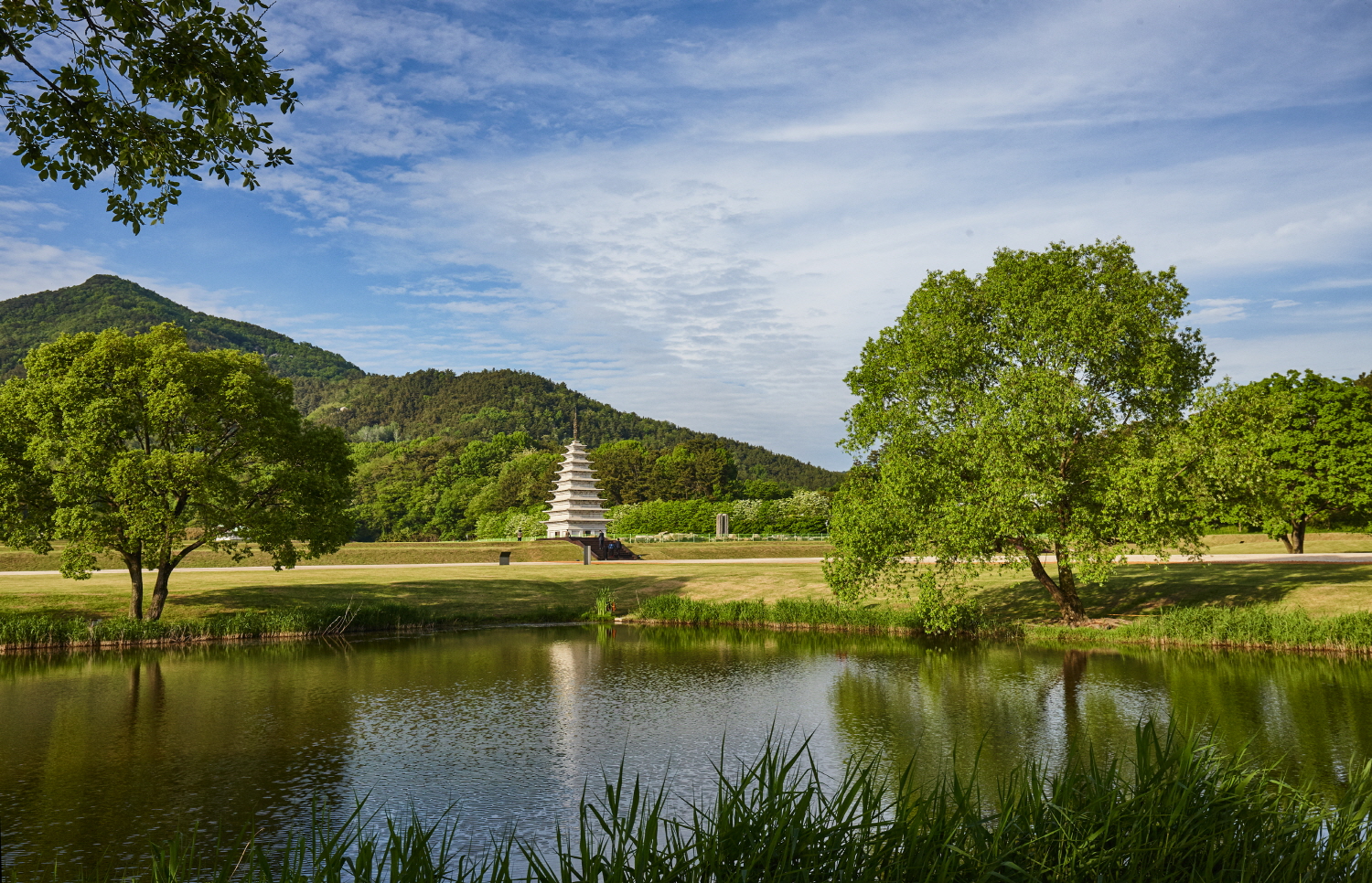 미륵사지 여름 이미지
