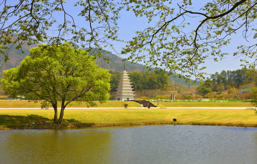 미륵사지 봄 이미지