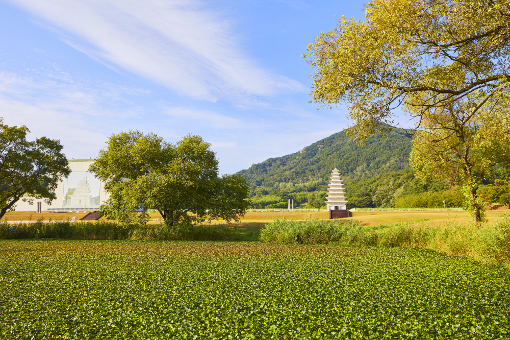 미륵사지 가을(4) 이미지