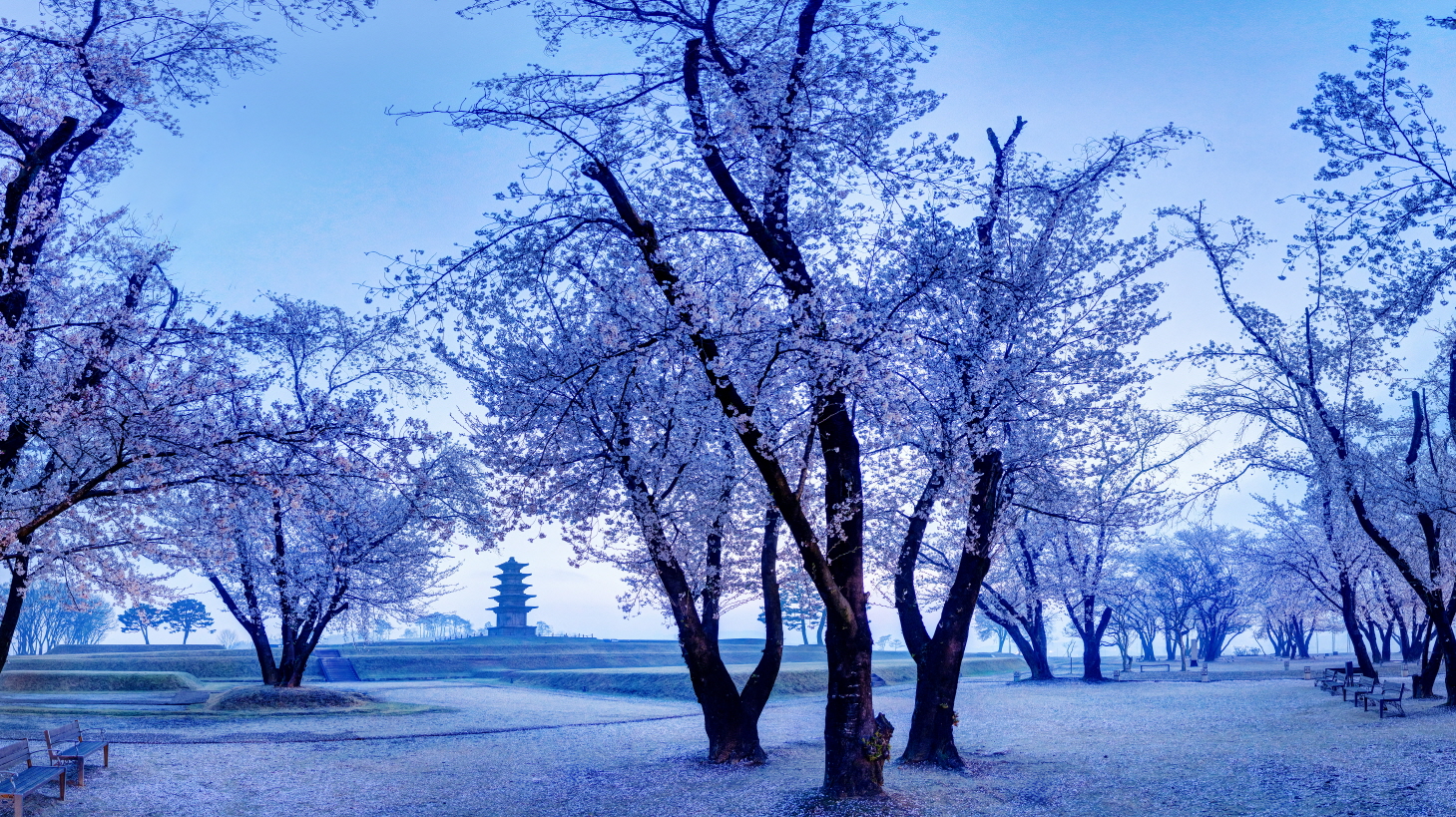 왕궁리 유적 봄(1) 이미지