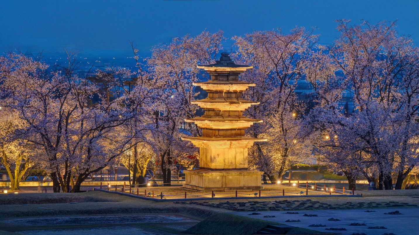 왕궁리 유적 봄(2) 이미지