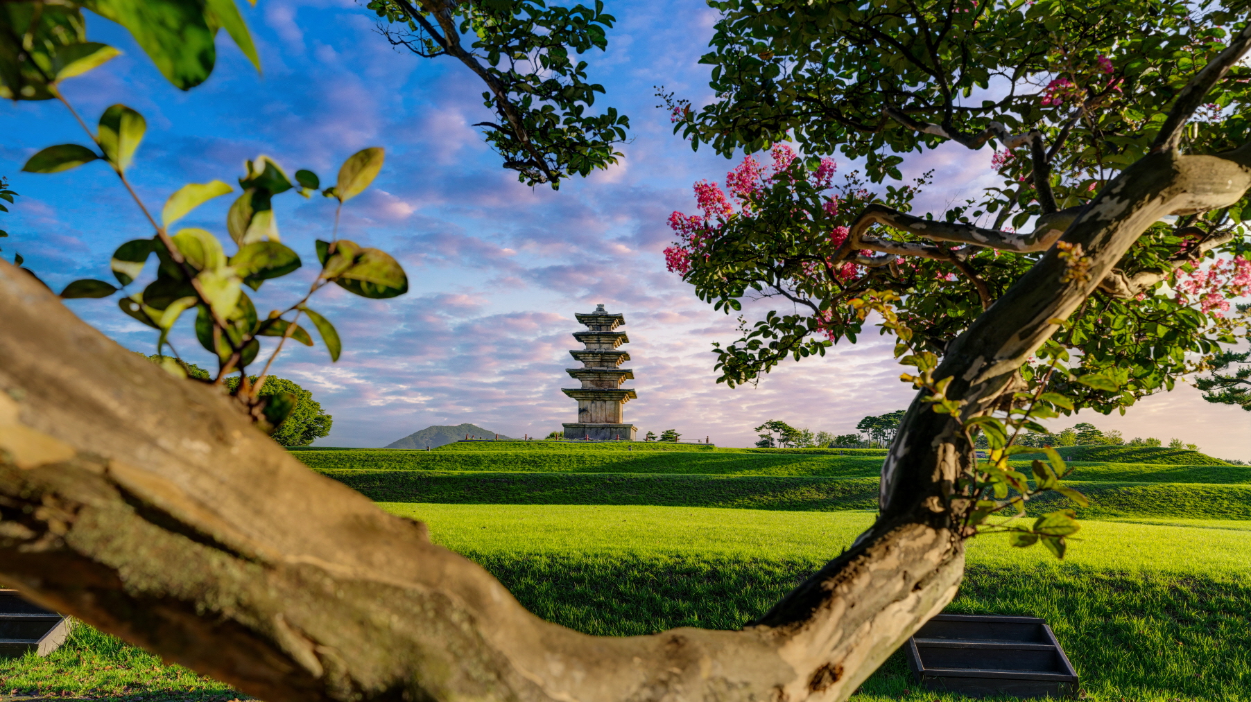 왕궁리 유적 여름(2) 이미지