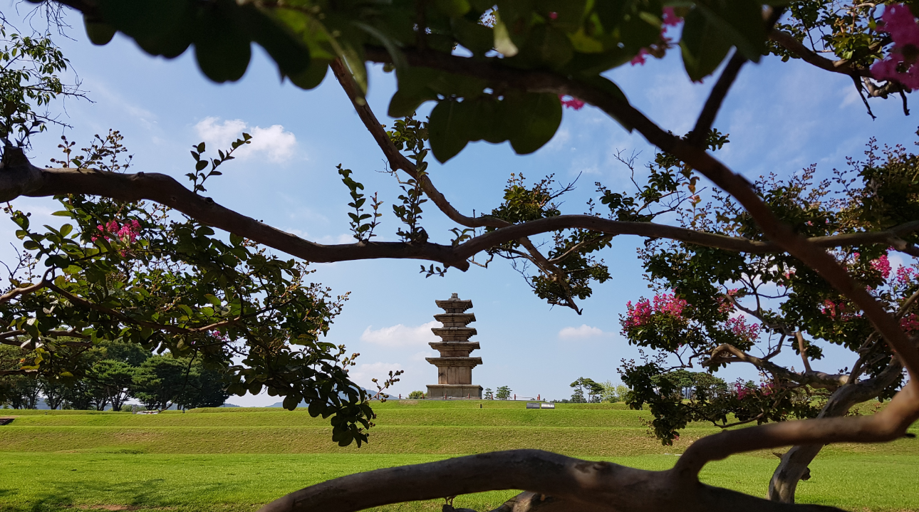 [찬란상] 백제의 역사를 찾아서(김동원) 이미지